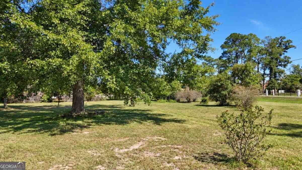 Vacant Land For Sale - Hwy 280<br/> Tattnall County, Reidsville, GA 30453