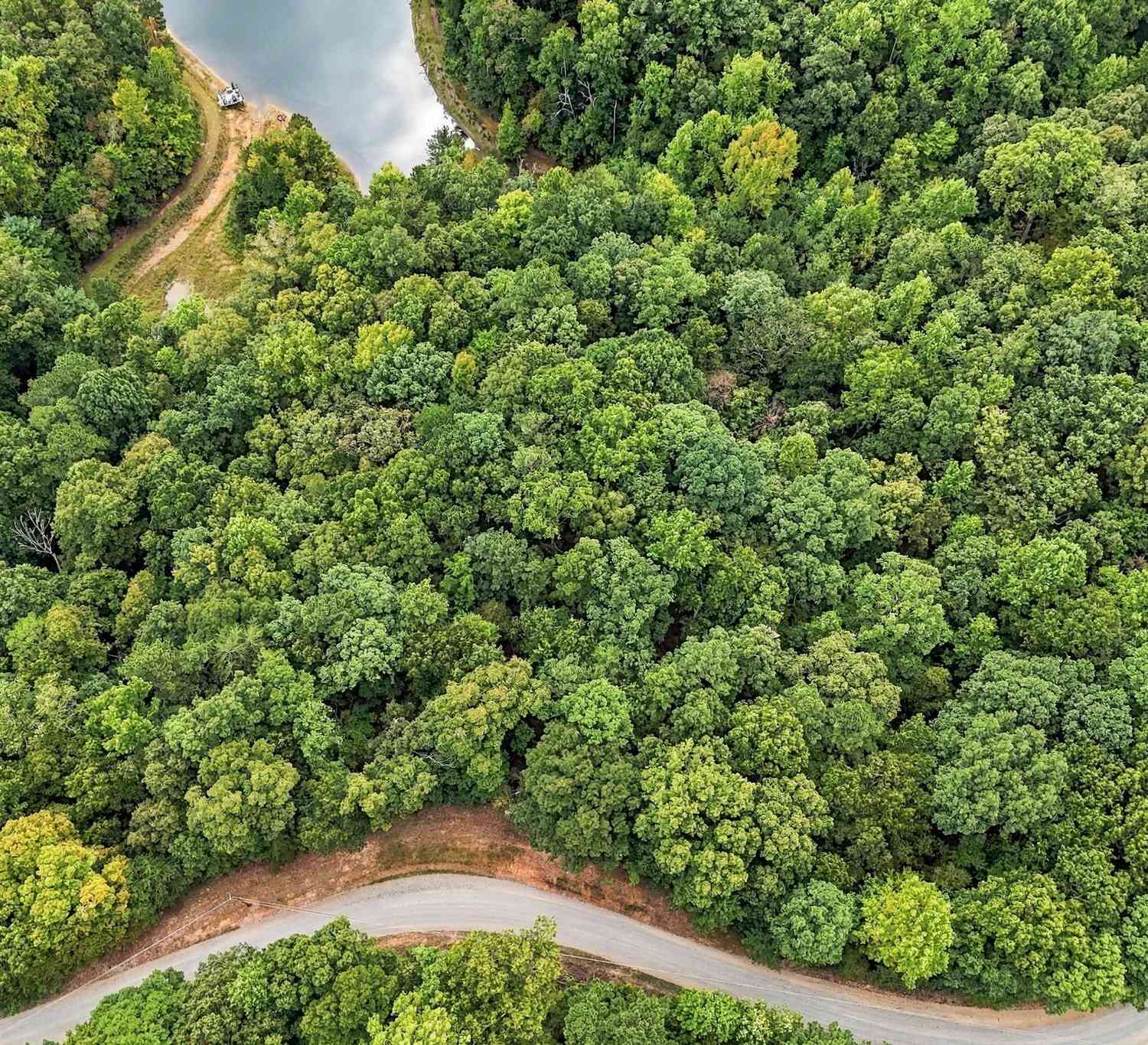 Vacant Land For Sale - Lakeland Drive #002<br/> Gilmer County, Ellijay, GA 30540