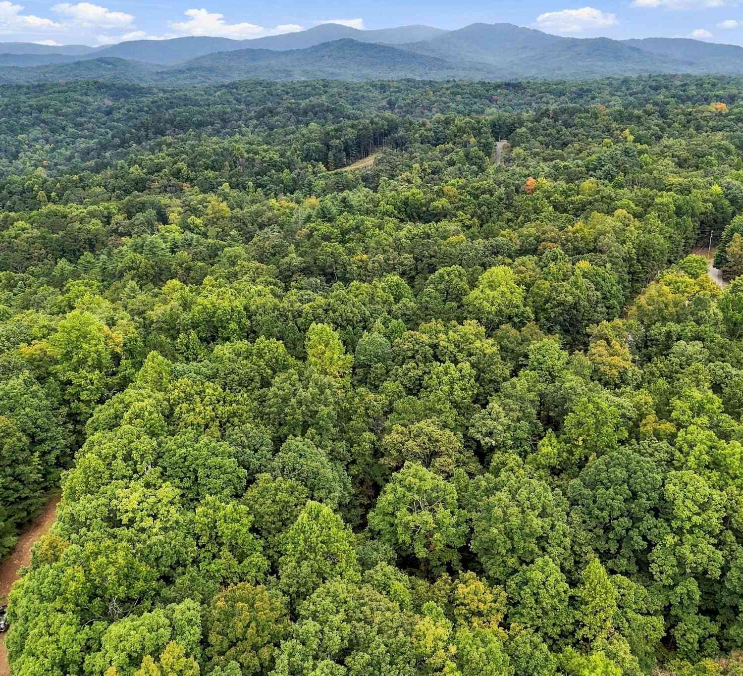 Vacant Land For Sale - Lakeland Drive #003<br/> Gilmer County, Ellijay, GA 30540