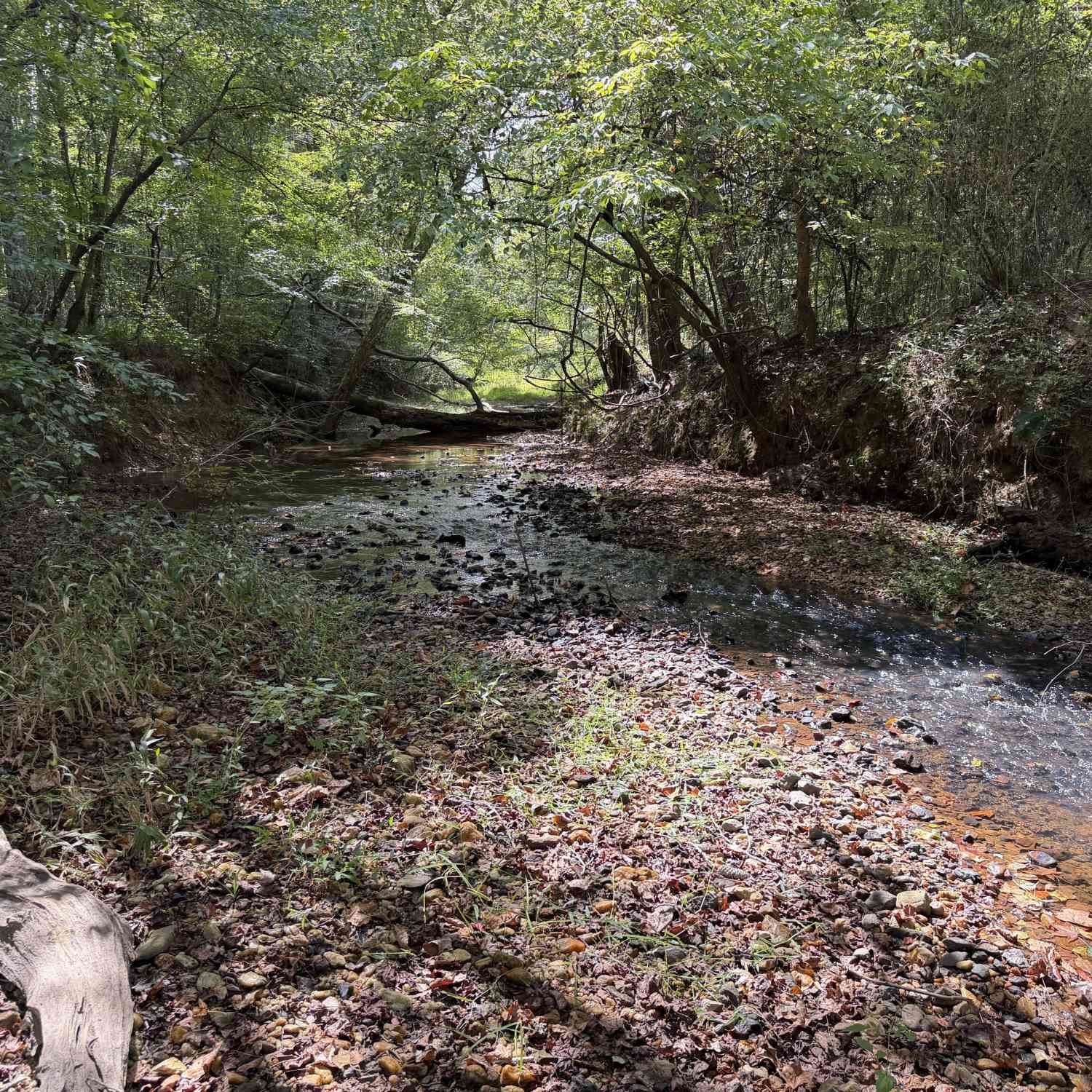 Vacant Land For Sale - Old Tennessee Road #1<br/> Franklin, GA 30217