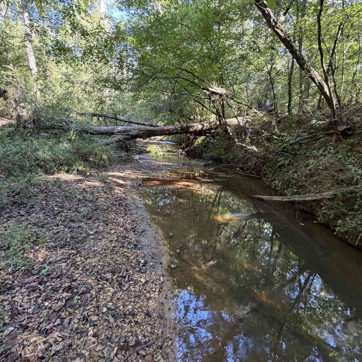 Vacant Land For Sale - Old Tennessee Road #2<br/> Franklin, GA 30217