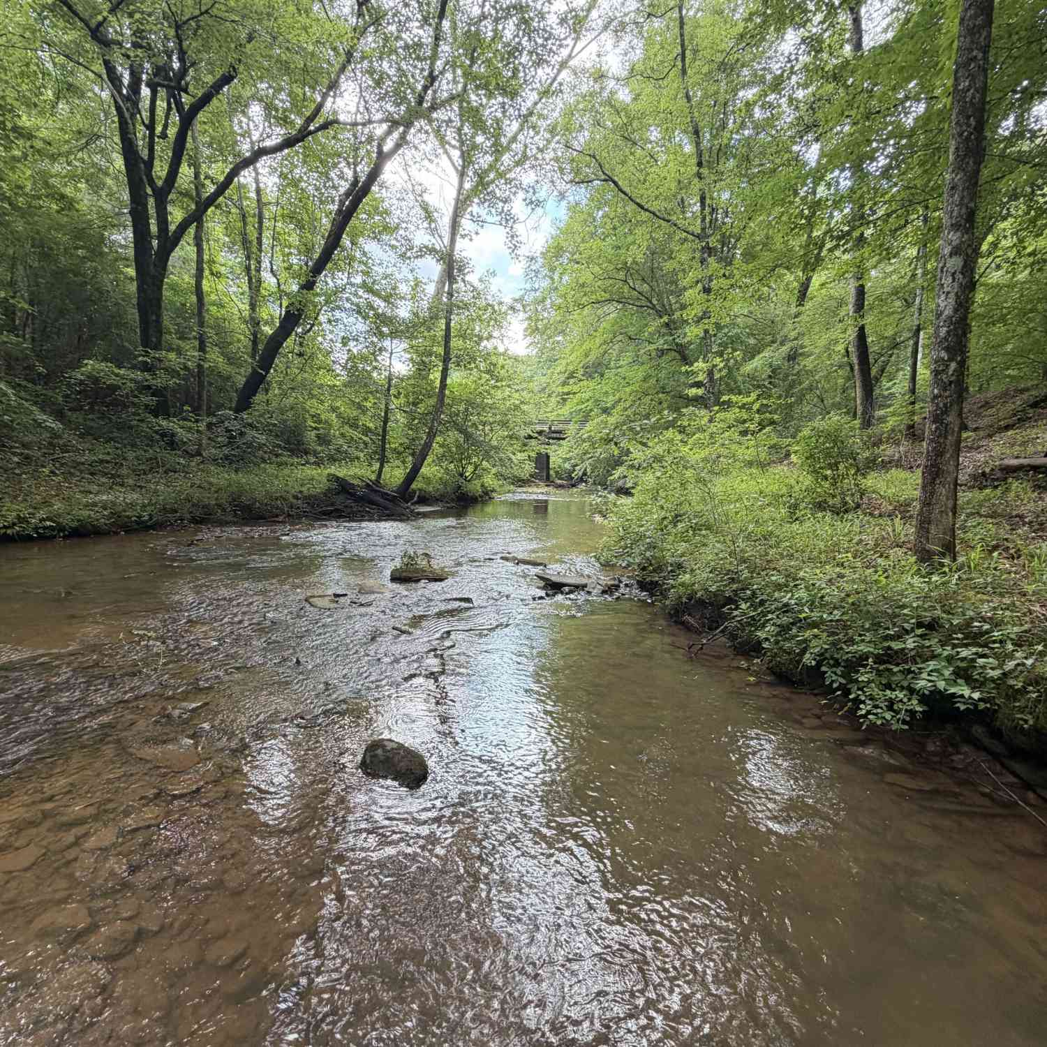 Vacant Land For Sale - Old Tennessee Road #3<br/> Franklin, GA 30217