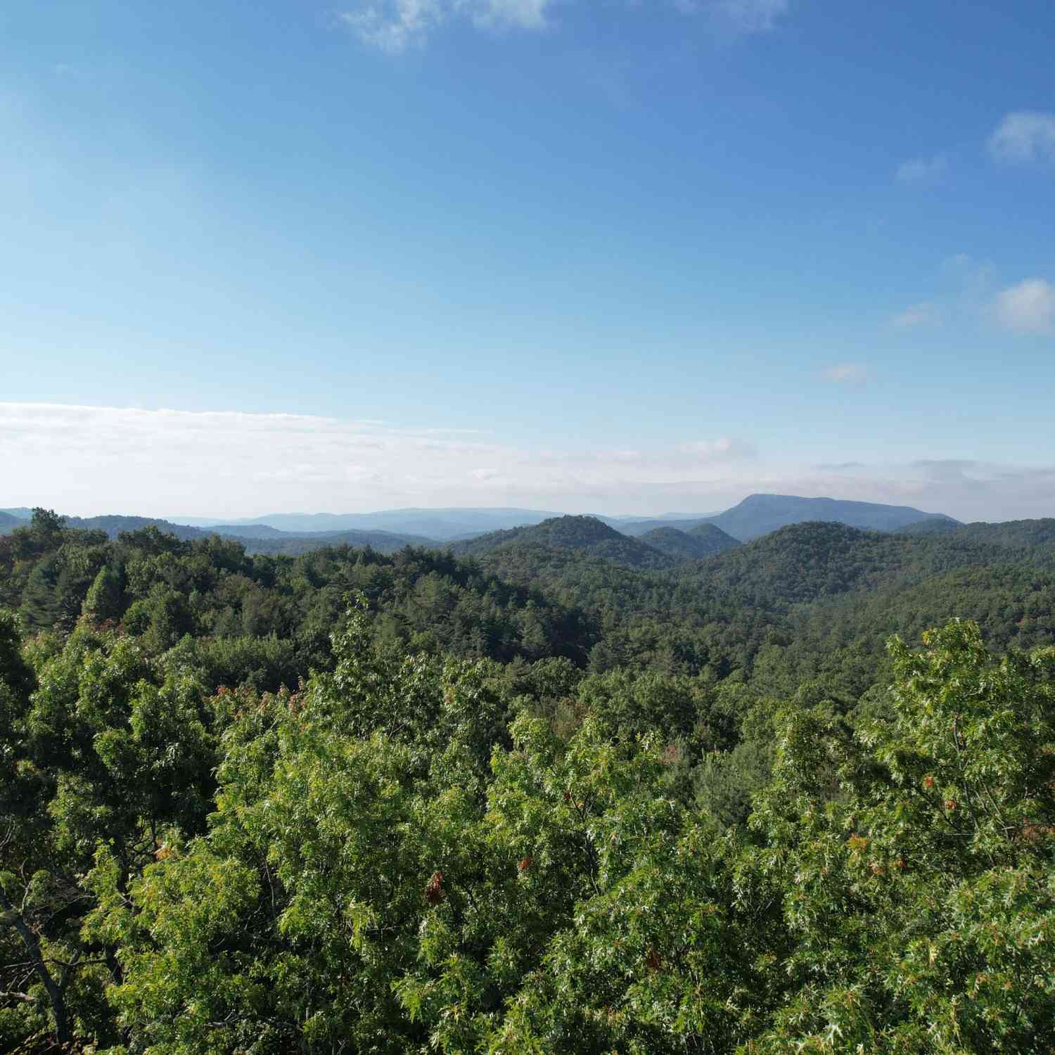 Vacant Land For Sale - LOT #94 Sally Ride Trail<br/> Clayton, GA 30525