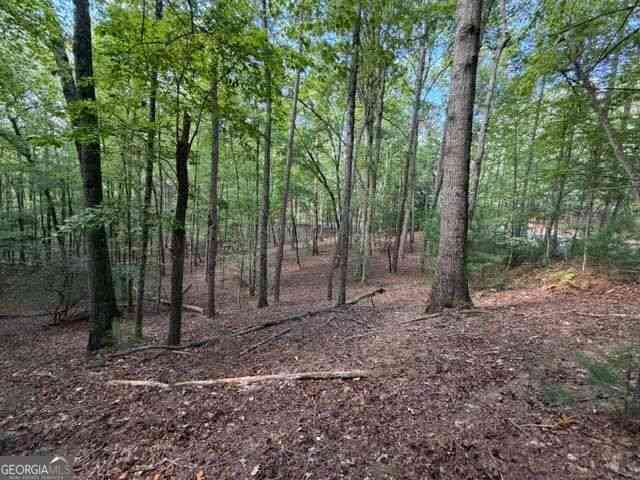 Vacant Land For Sale - 556 Satsuma Court S<br/> Gilmer County, Ellijay, GA 30540