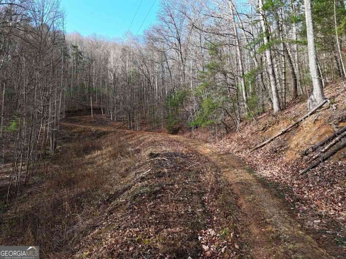 Vacant Land For Sale - 4.01 ACRES Park Hill Avenue<br/> Blairsville, GA 30512