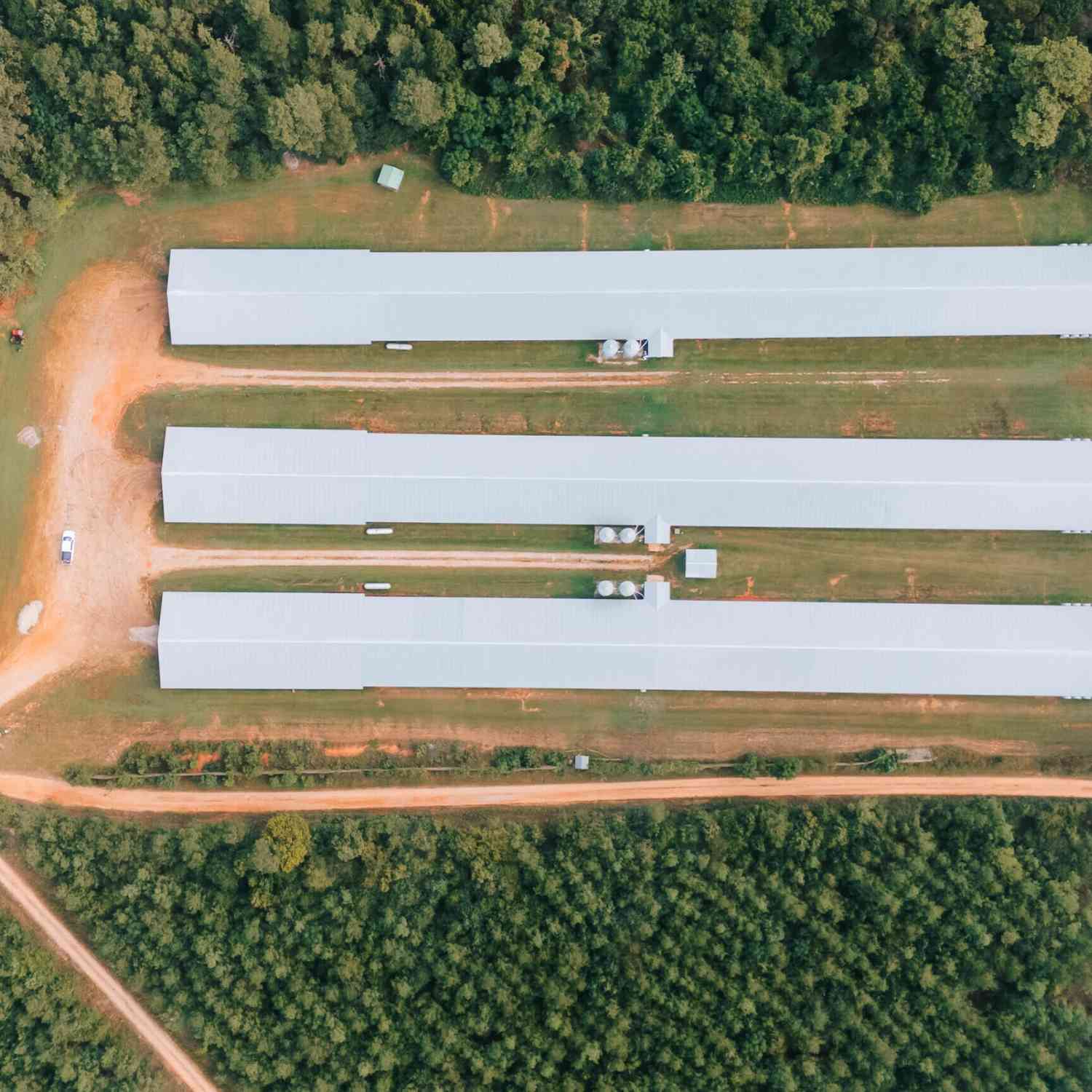 Vacant Land For Sale - 574 Center Church Road<br/> Stephens, GA 30667