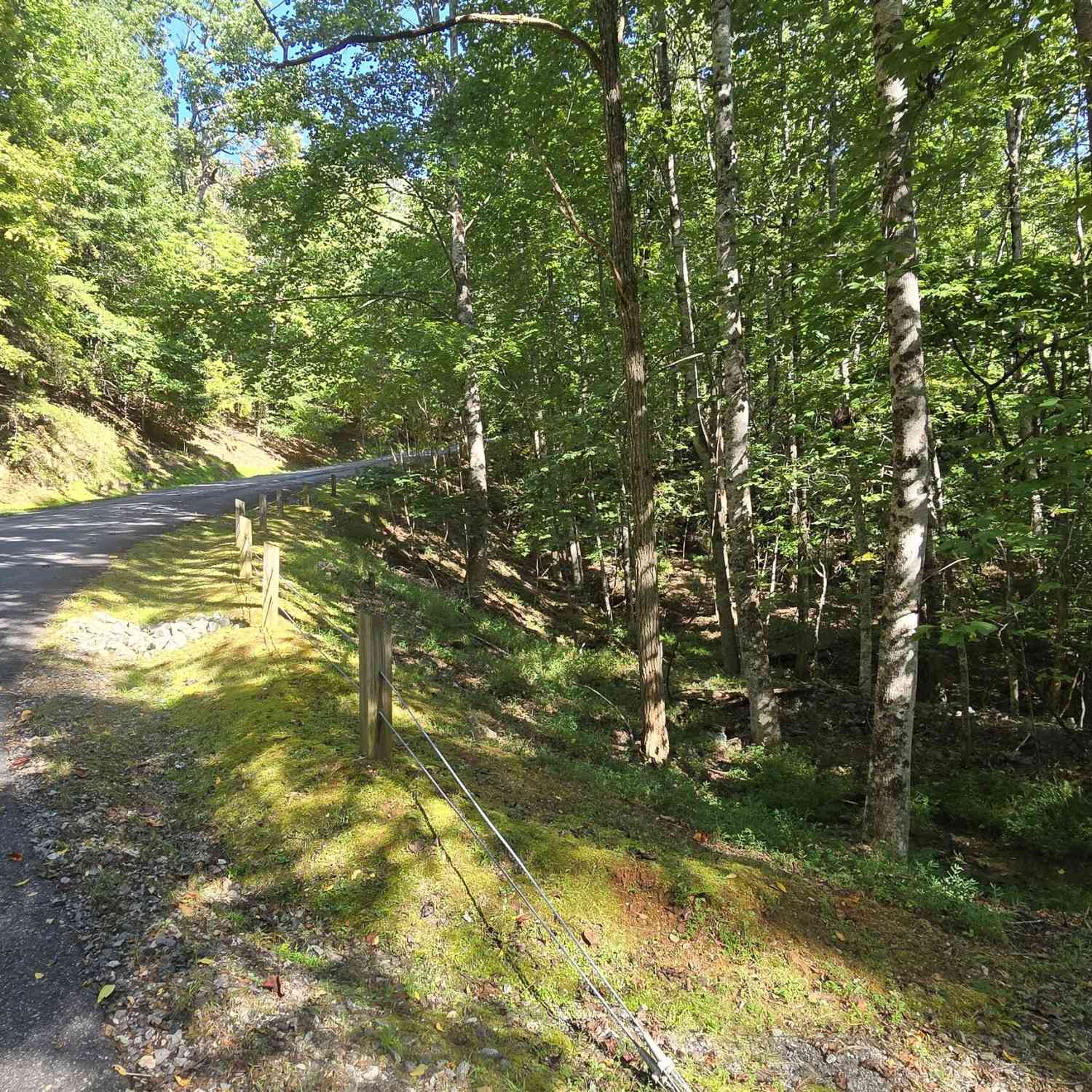 Vacant Land For Sale - LOT 40 Double Knob<br/> Hayesville, NC 28904