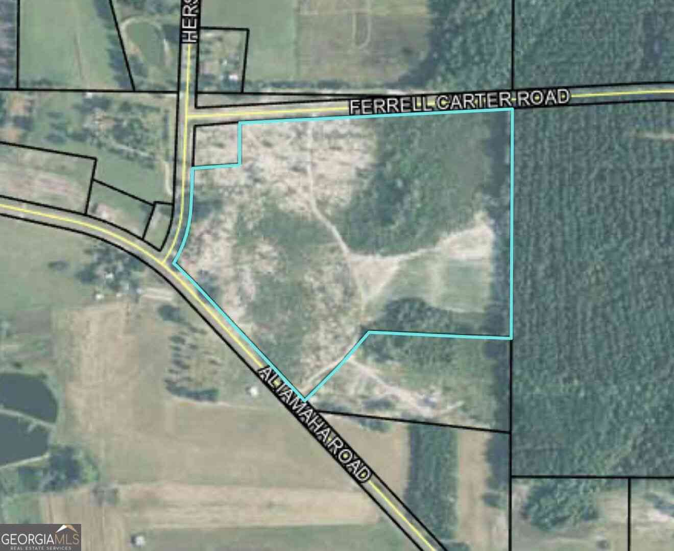 Vacant Land For Sale - Altamaha Rd<br/> Jeff Davis County, Hazlehurst, GA 31539