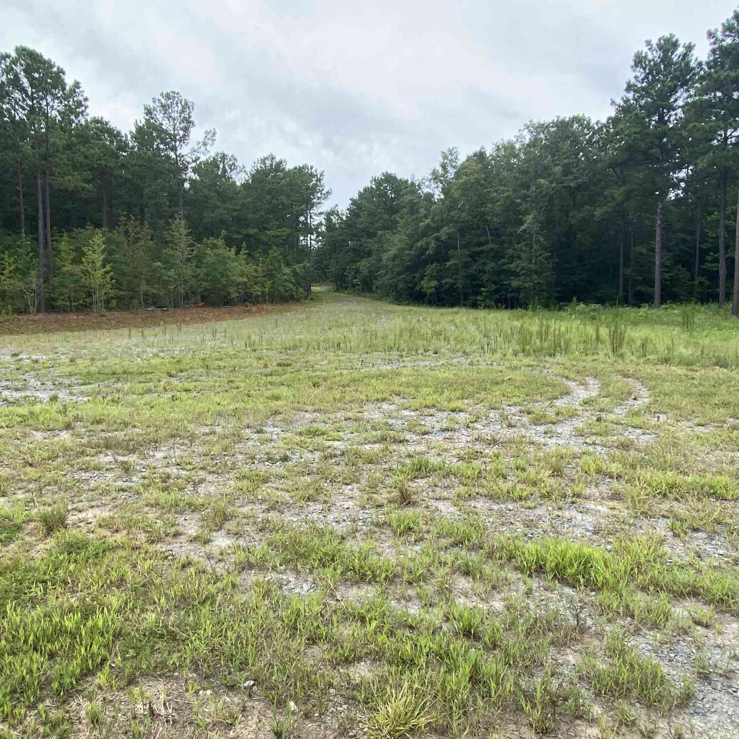Vacant Land For Sale - 126 Potts Pond Road<br/> Barnesville, GA 30204