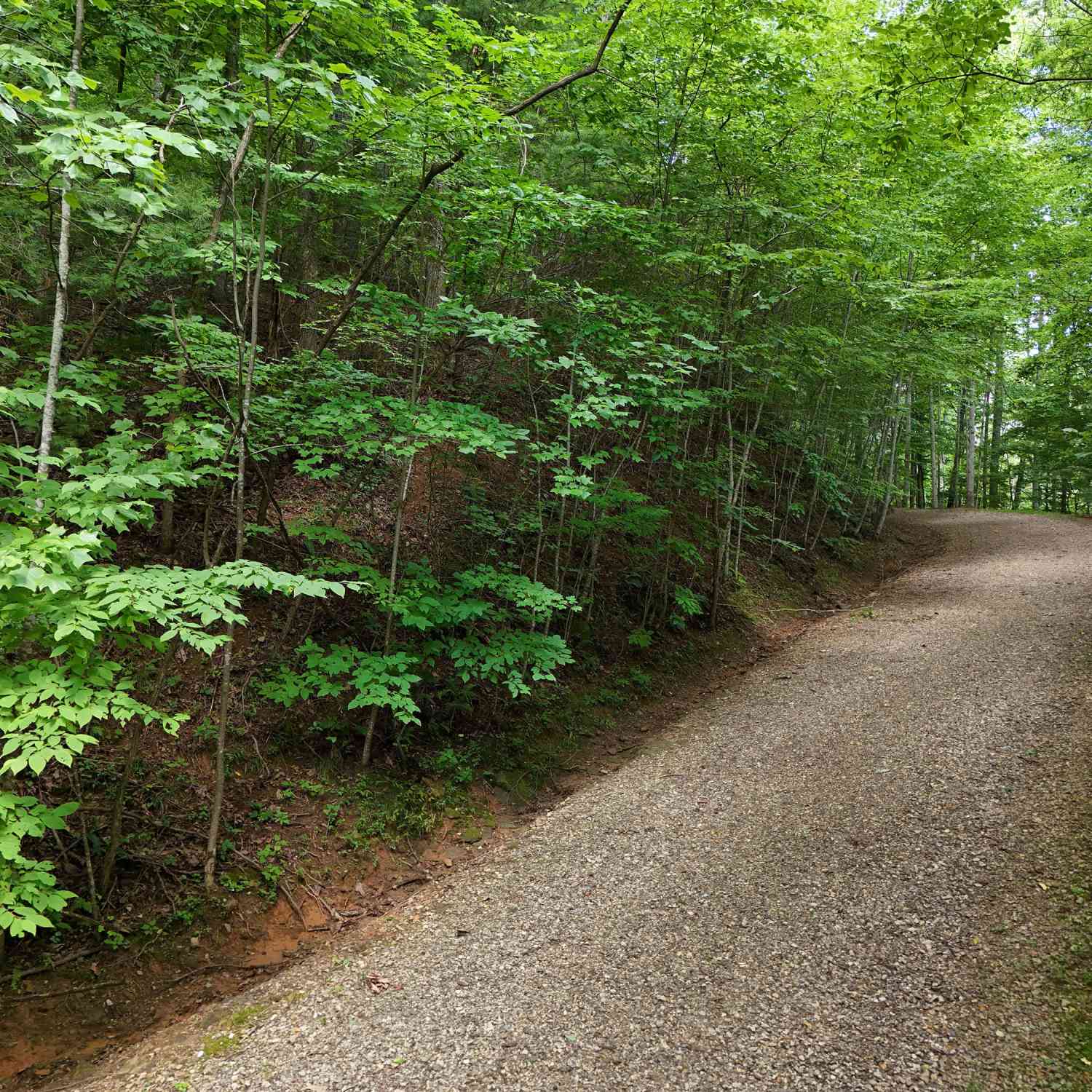 Vacant Land For Sale - LOT 31 Highland Forge Lane<br/> Blairsville, GA 30512