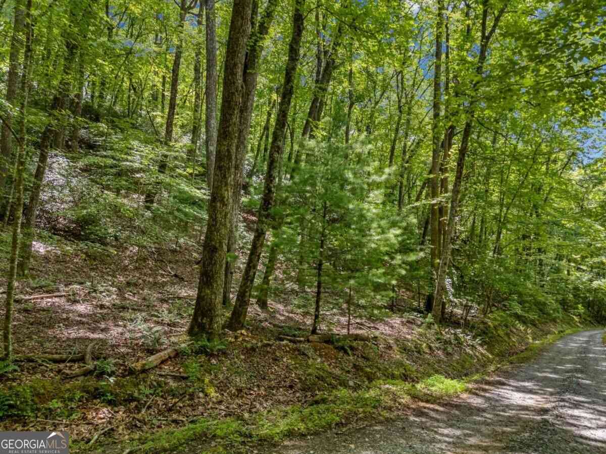 Vacant Land For Sale - Paradise Lane<br/> Blue Ridge, GA 30513