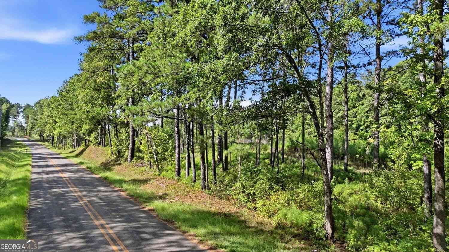 Vacant Land For Sale - 150+/- ACRES Giles Road<br/> Forsyth, GA 31029