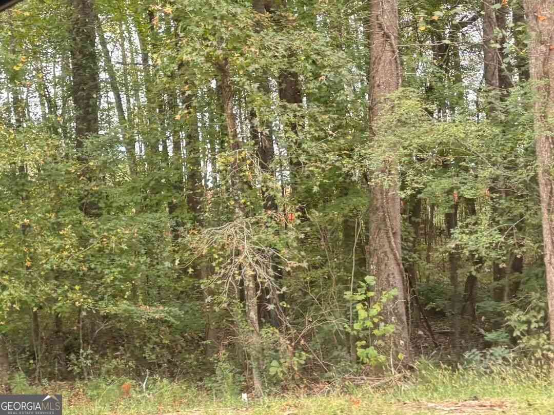 Vacant Land For Sale - 1945 Winder Highway<br/> Dacula, GA 30019