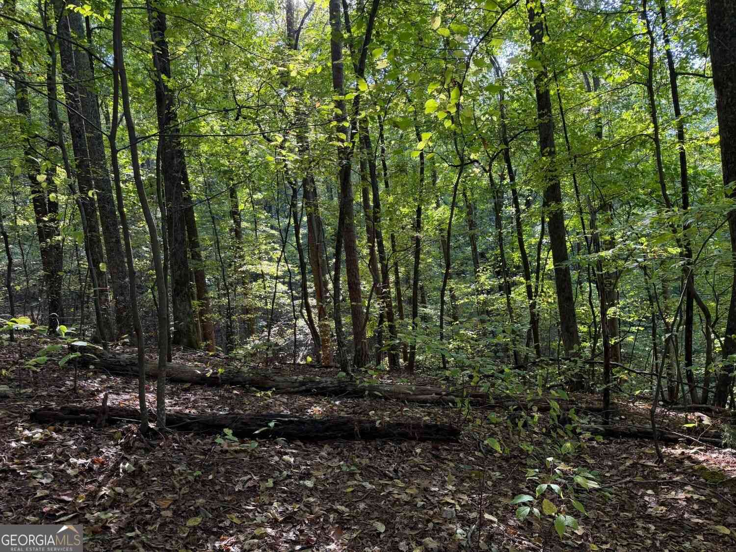 Vacant Land For Sale - Mountain View Court #J349-350<br/> Ellijay, GA 30536