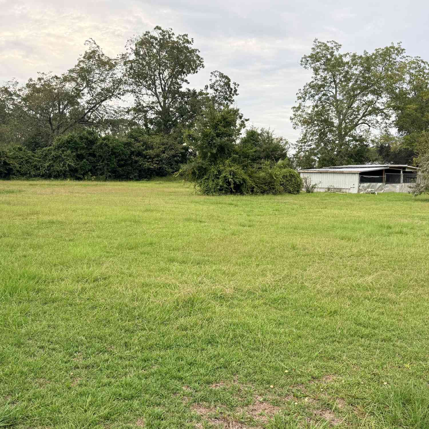 Vacant Land For Sale - 2nd Street<br/> Baxley, GA 31513
