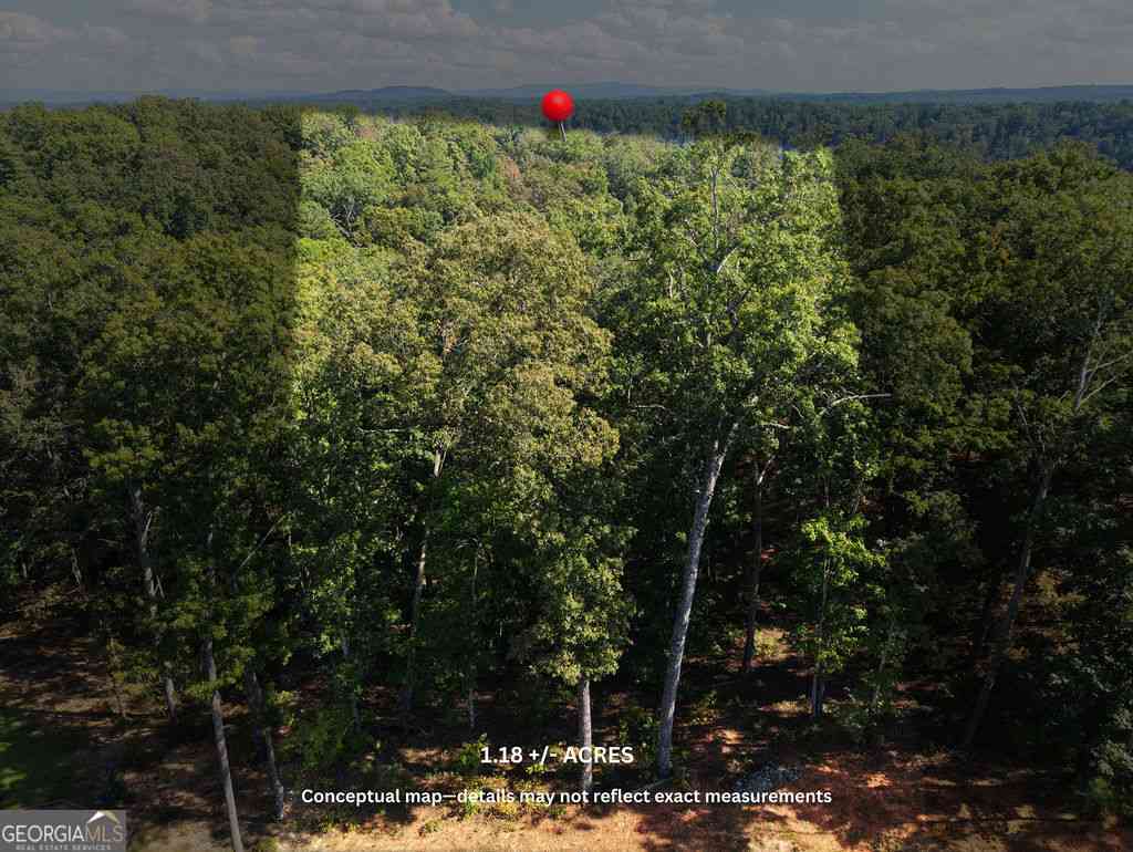 Vacant Land For Sale - 21 Lake Top Lane<br/> Ellijay, GA 30540
