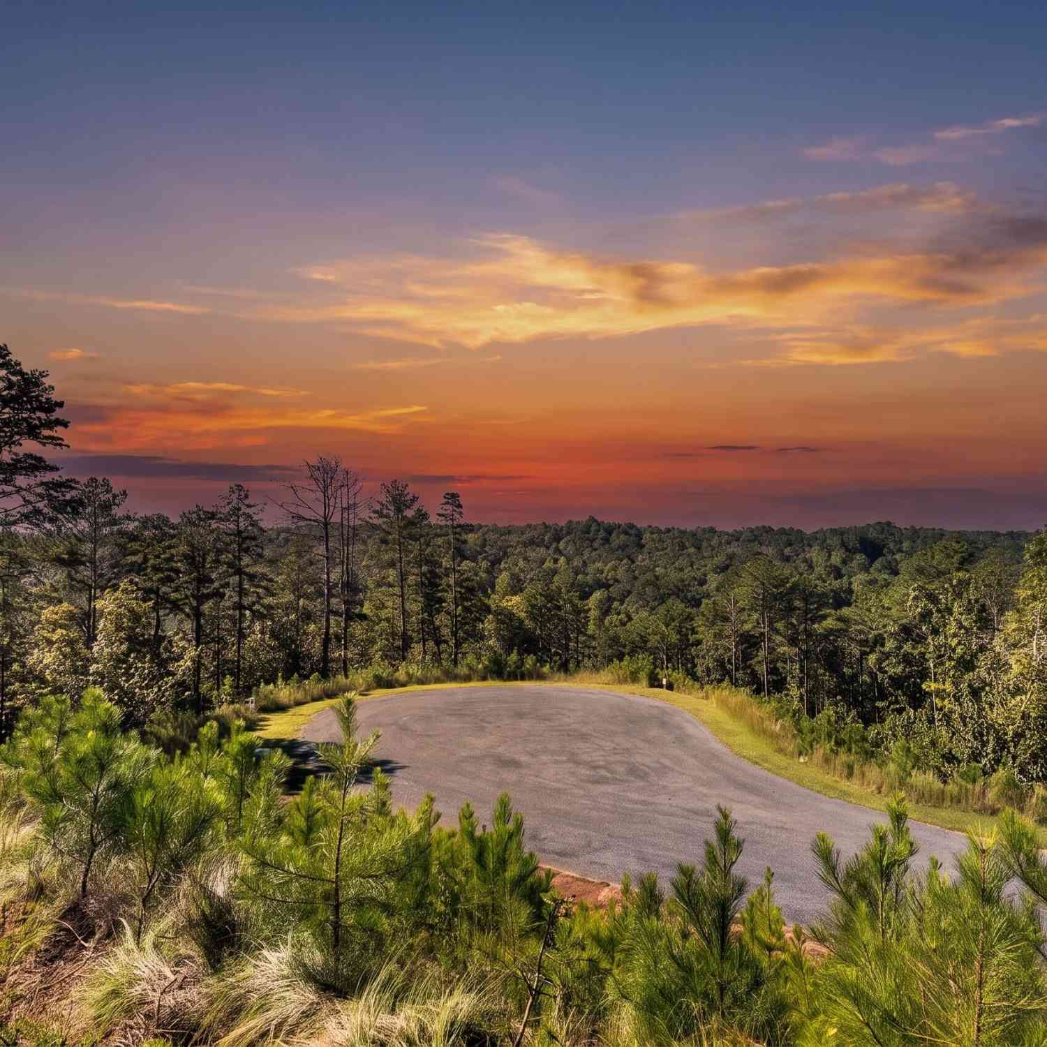 Vacant Land For Sale - LT 267 River View Trail #LT 267<br/> Ellijay, GA 30540