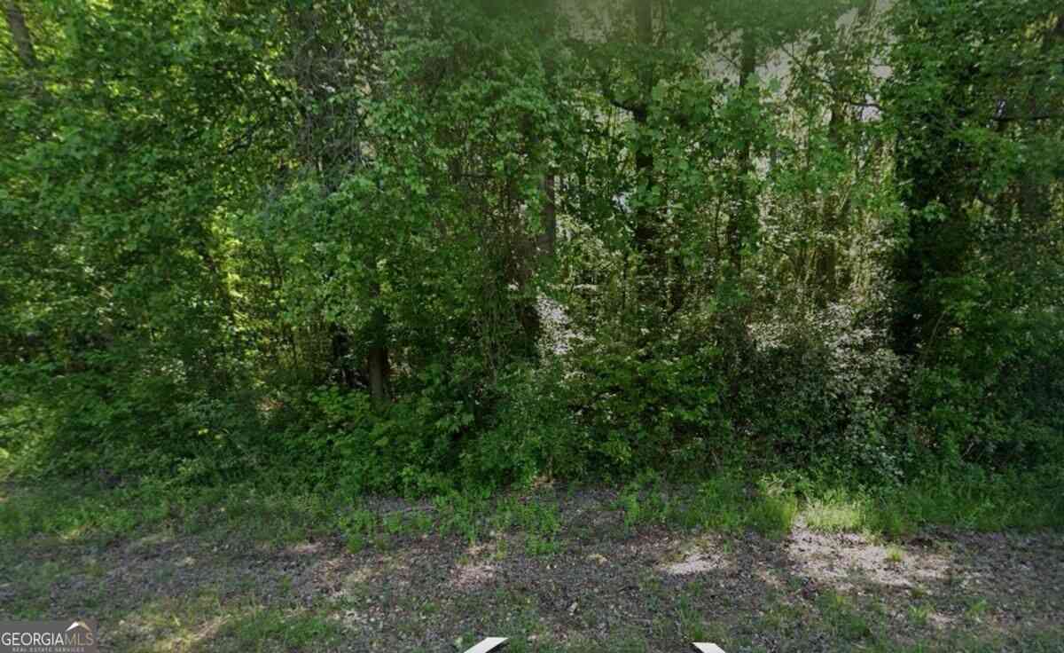 Vacant Land For Sale - 1374 Zebulon Road<br/> Griffin, GA 30224