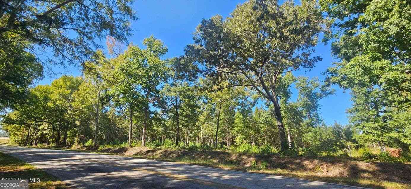 Vacant Land For Sale - TRACT 2 Bethany Church Road<br/> Lincolnton, GA 30817
