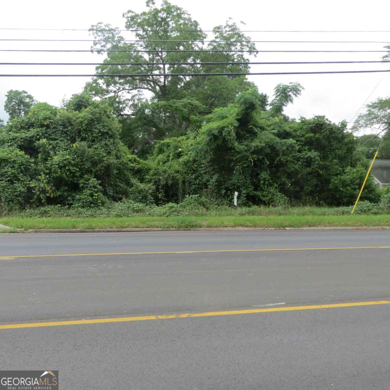 Vacant Land For Sale - 701 College Street<br/> Dodge County, Eastman, GA 31023
