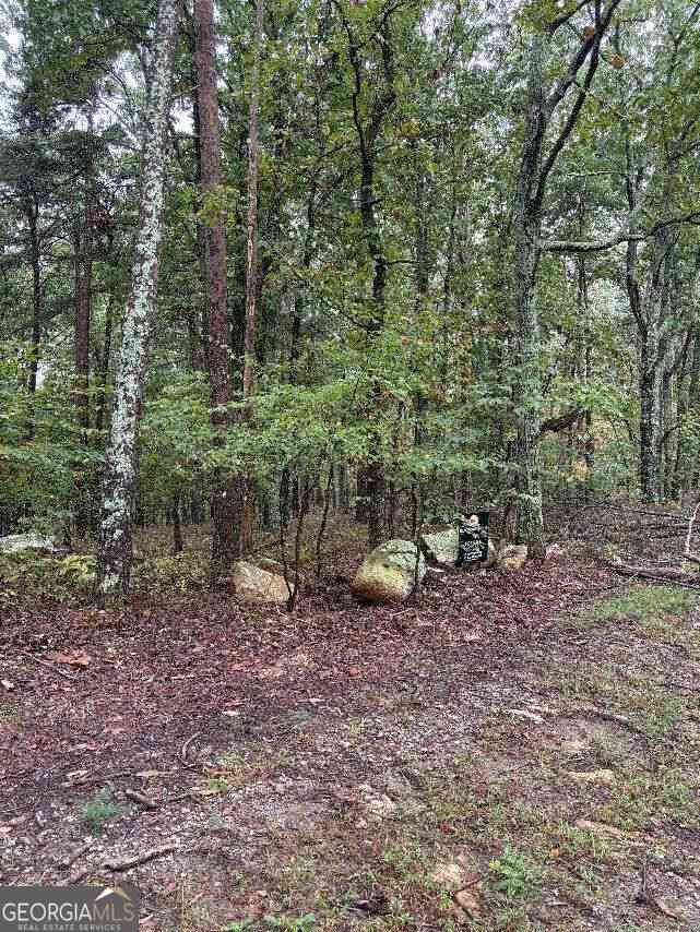 Vacant Land For Sale - Quartz Court<br/> Jasper, GA 30143
