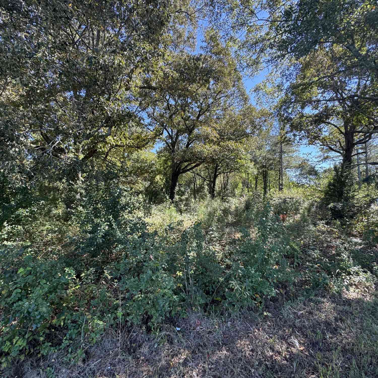 Vacant Land For Sale - 2543 Locust Grove Road<br/> Griffin, GA 30223