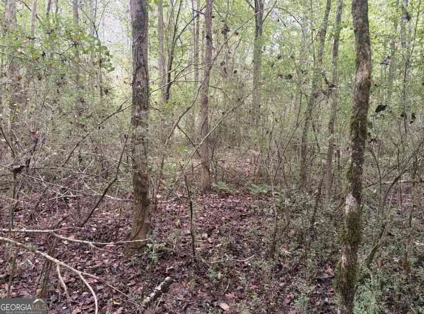 Vacant Land For Sale - Lebanon Church Road #TRACT 3<br/> Jefferson, GA 30549