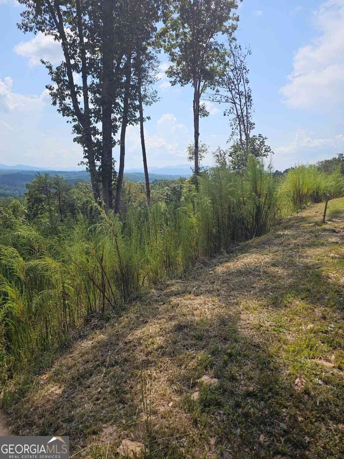Vacant Land For Sale - LOT 23 Mountain Laurel Ridge<br/> Fannin County, MIneral Bluff, GA 30559