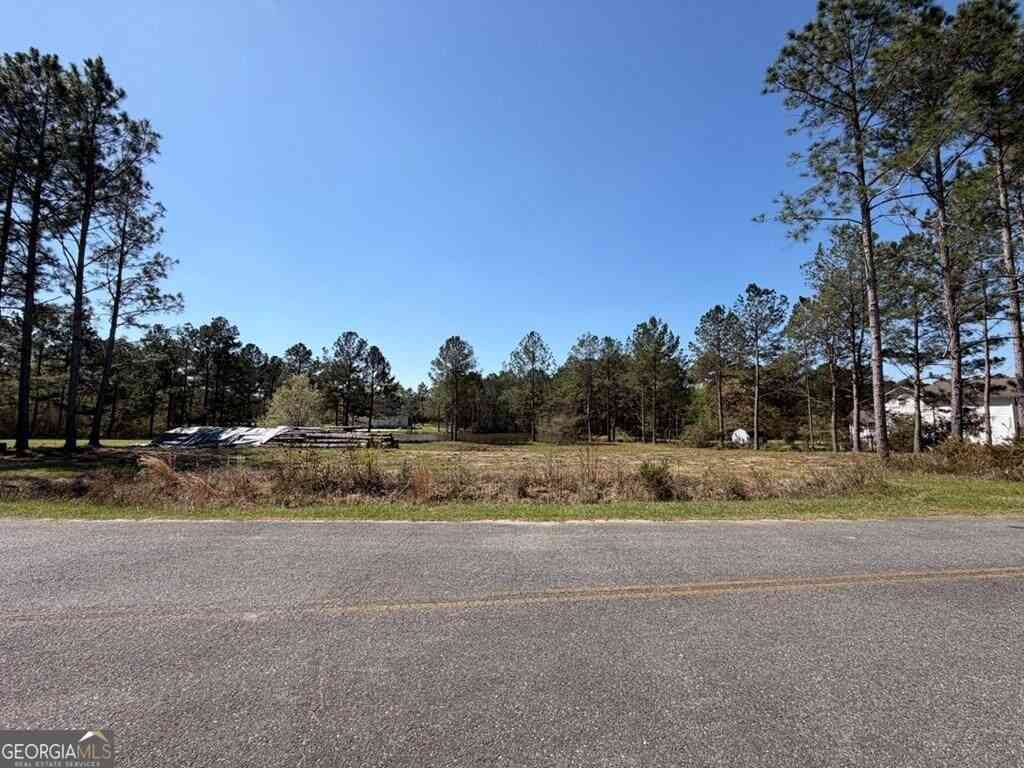 Vacant Land For Sale - 38 Duck Drive<br/> Tifton, GA 31793