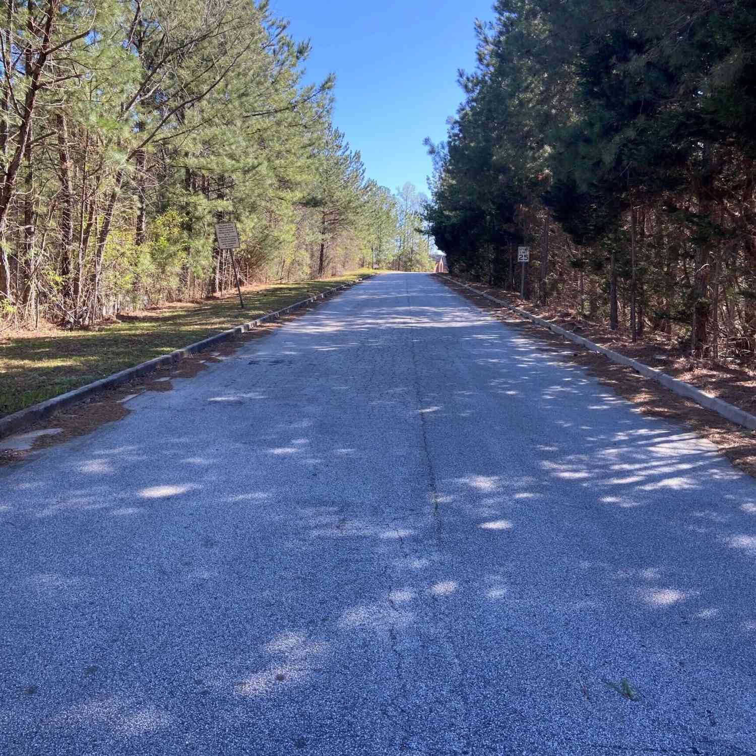 Vacant Land For Sale - 15 Pee Jay Drive #1<br/> Oxford, GA 30054