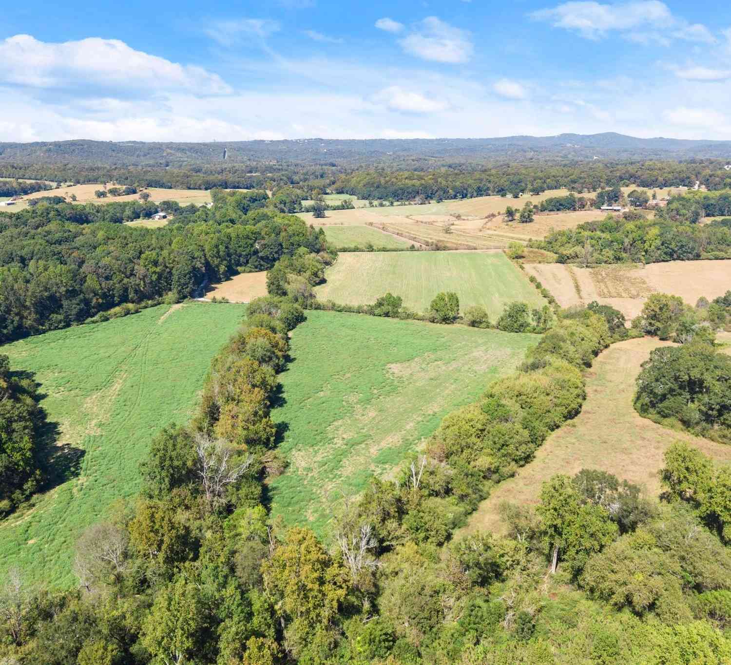 Vacant Land For Sale - Moss Farm<br/> Alto, GA 30510