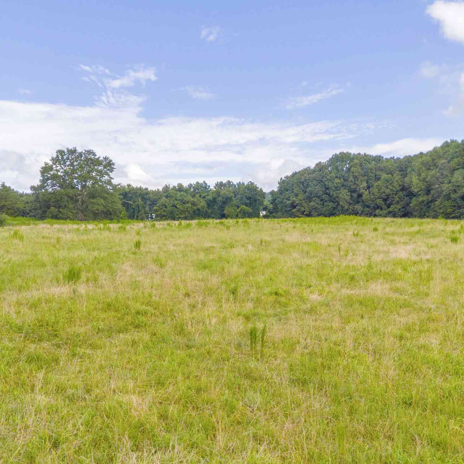 Vacant Land For Sale - West Avenue<br/> Lavonia, GA 30553
