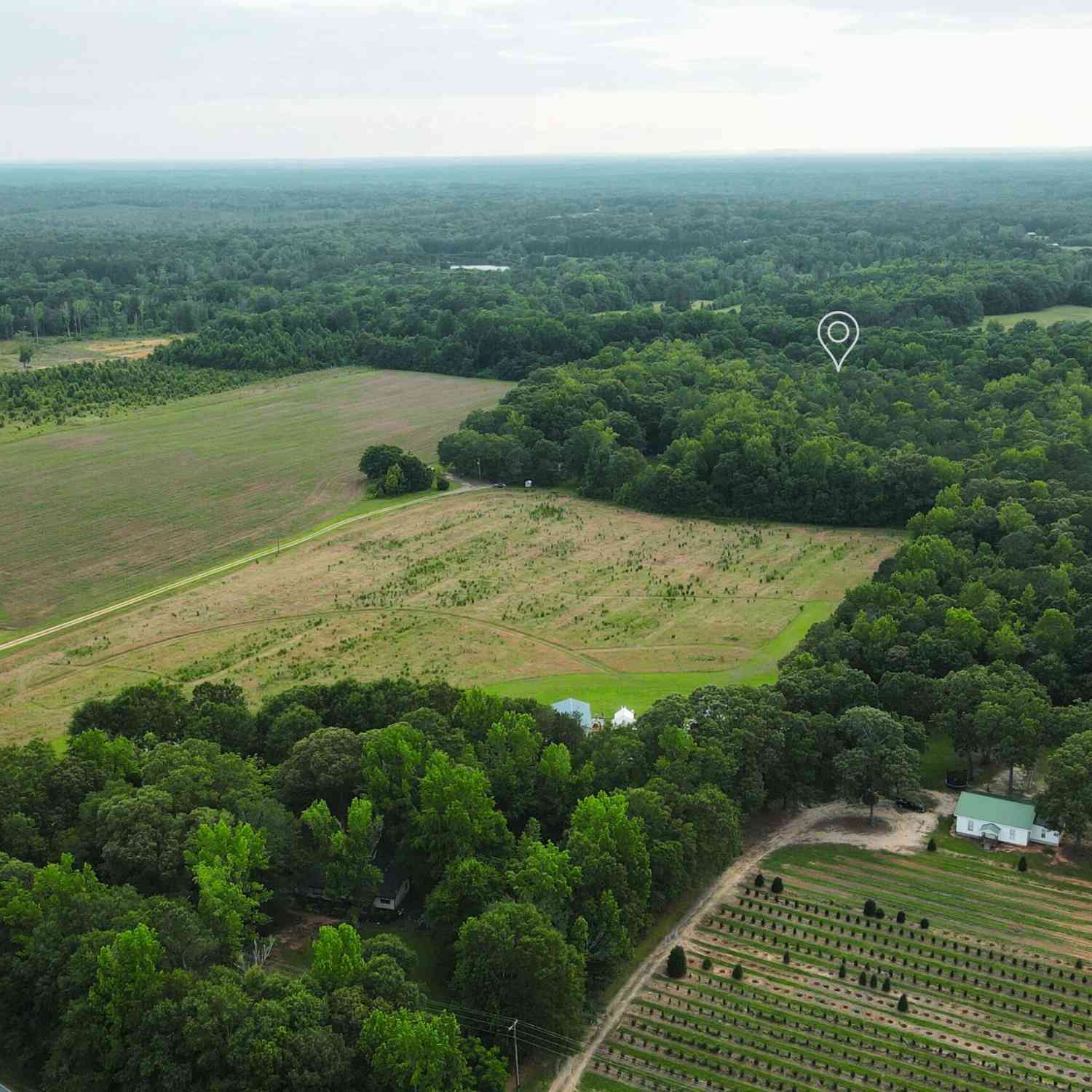 Vacant Land For Sale - 143 Highway 341 S<br/> Barnesville, GA 30204