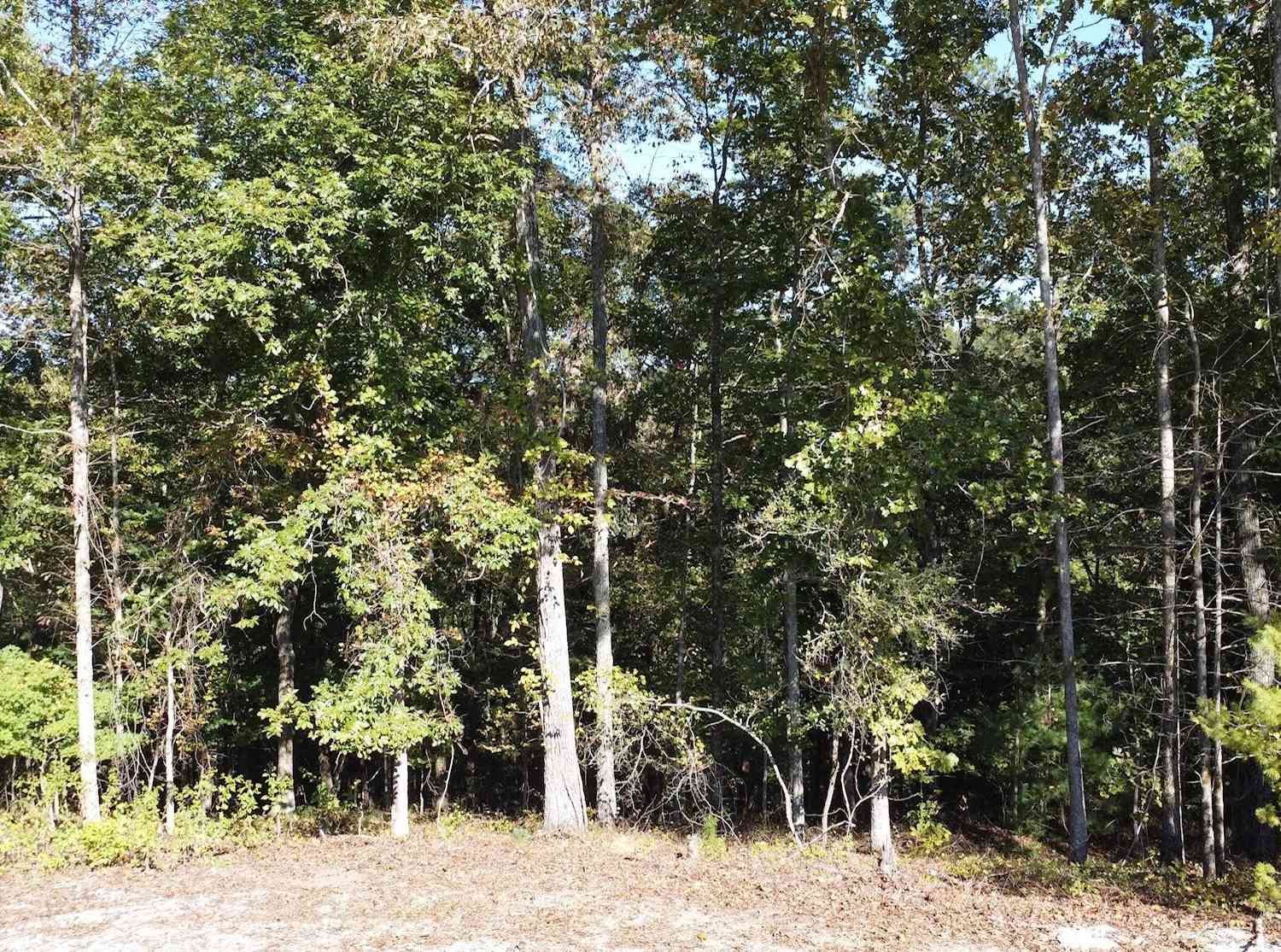 Vacant Land For Sale - Rebekah Ridge Road<br/> Talking Rock, GA 30175