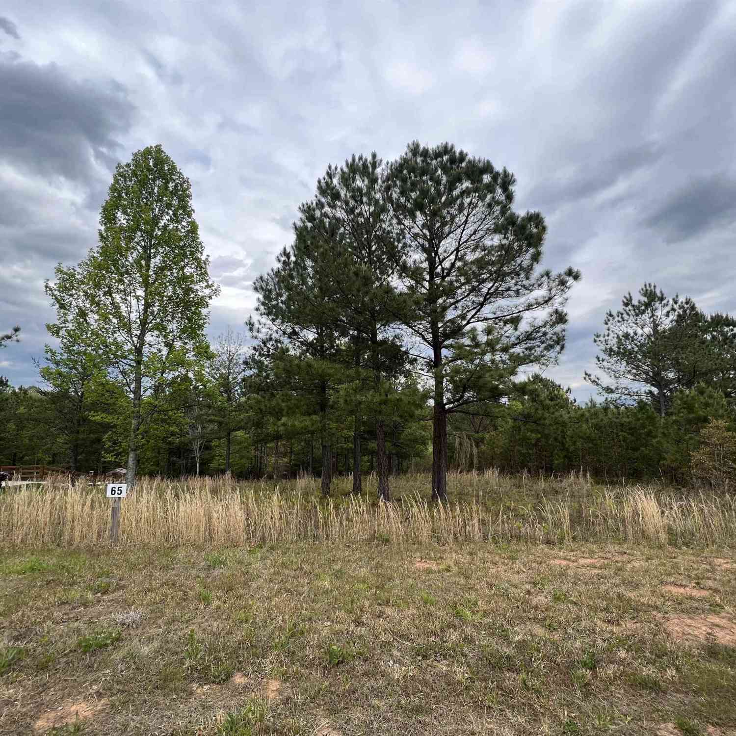Vacant Land For Sale - LOT 65 Village Loop<br/> Blairsville, GA 30512