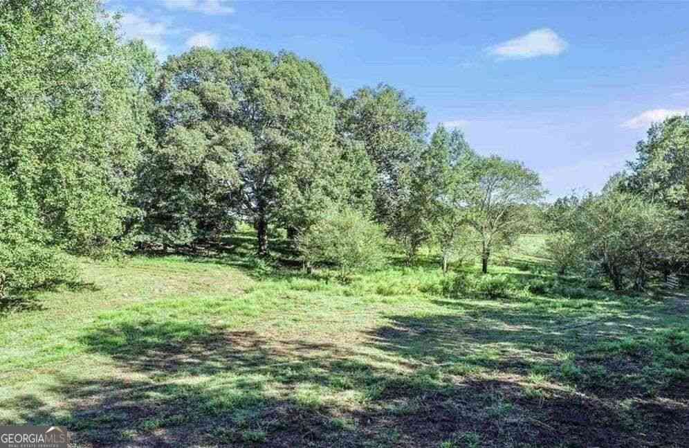 Vacant Land For Sale - 1340 441 Express Way<br/> Mount Airy, GA 30563