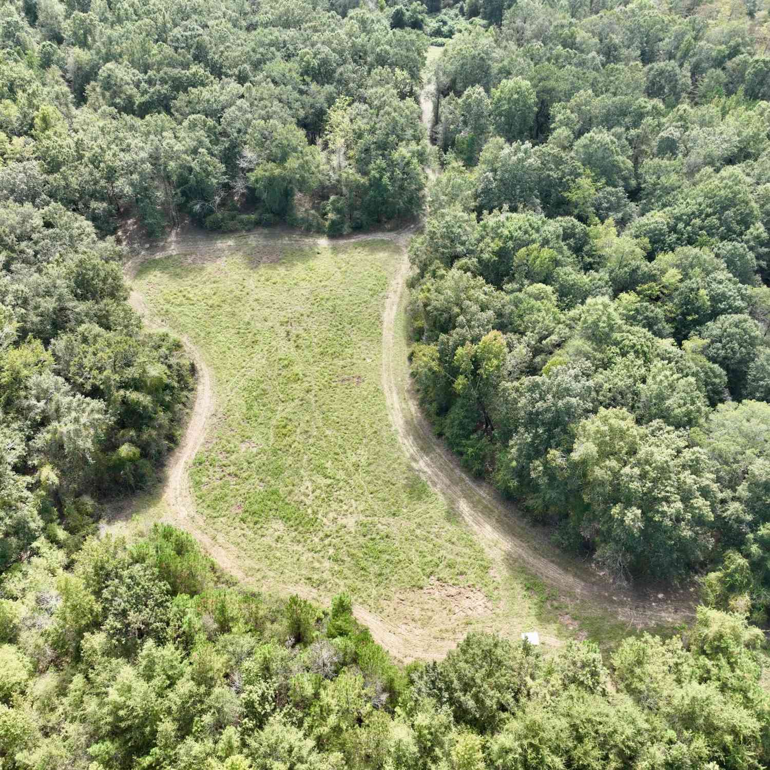 Vacant Land For Sale - Abbeville Highway<br/> Pineview, GA 31071