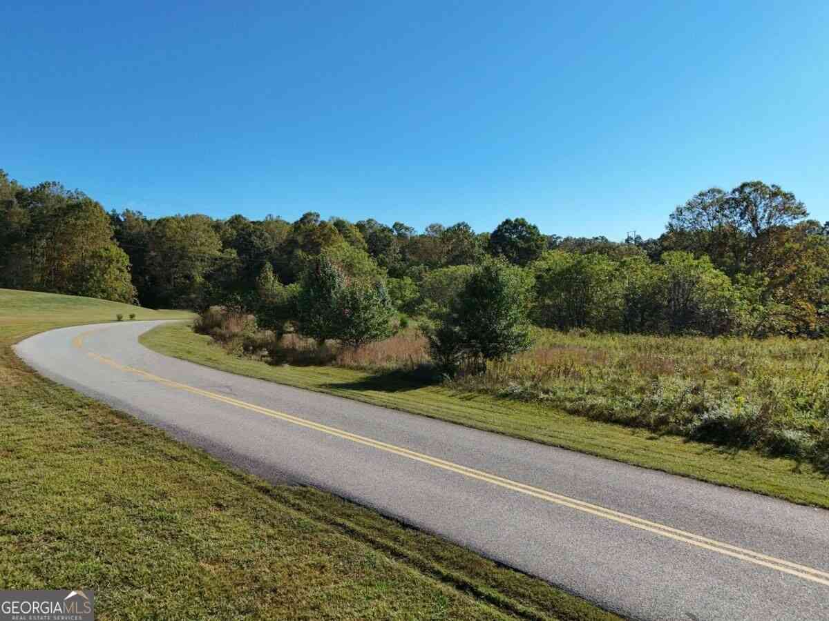Vacant Land For Sale - TR 2 Arbor Acres Farm Road<br/> Blairsville, GA 30512