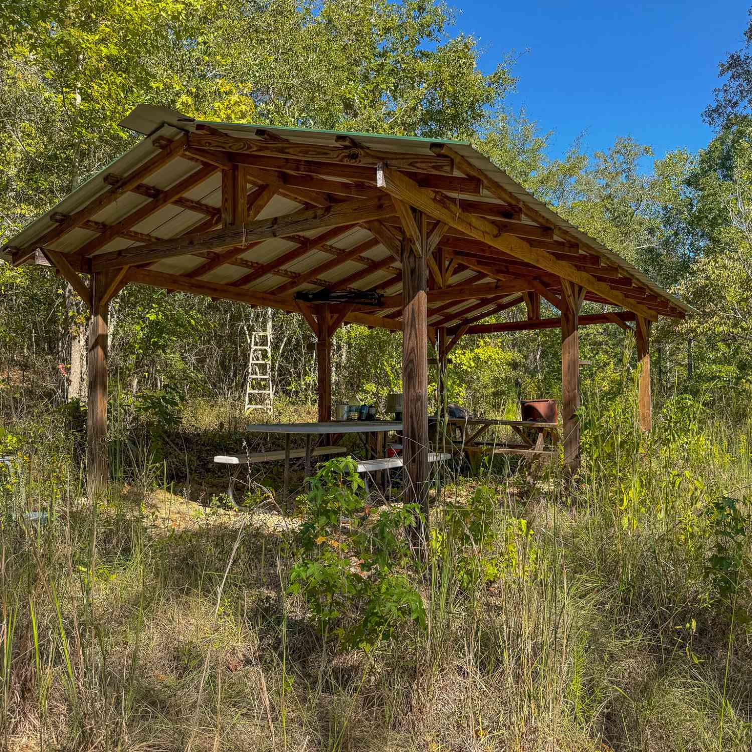 Vacant Land For Sale - 1216 Buddy Boy Thornton Road<br/> Richland, GA 31825