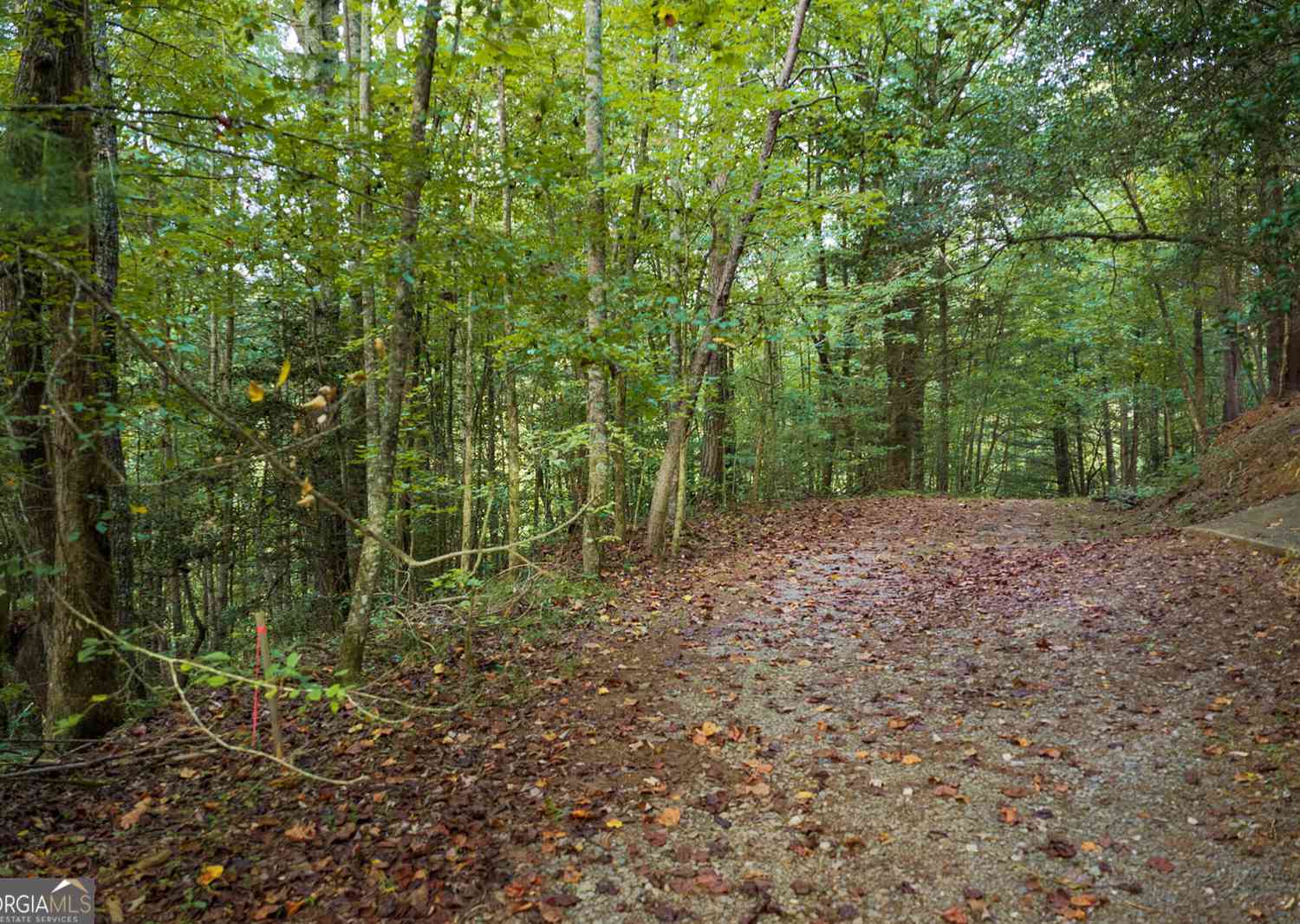 Vacant Land For Sale - LT14-17 Conasauga Drive<br/> Ellijay, GA 30540