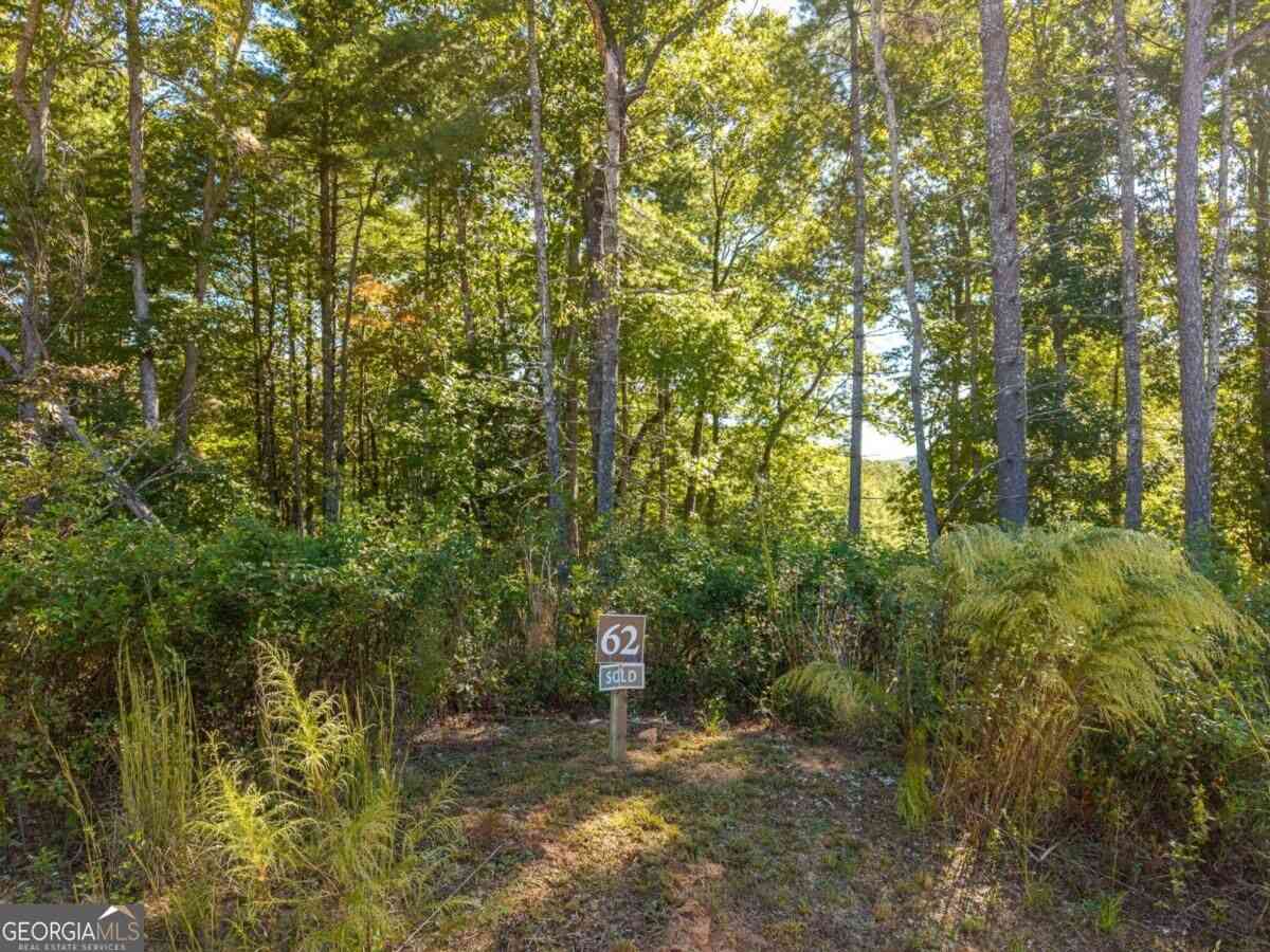 Vacant Land For Sale - LOT 62 Ridge Drive #62<br/> Blue Ridge, GA 30513