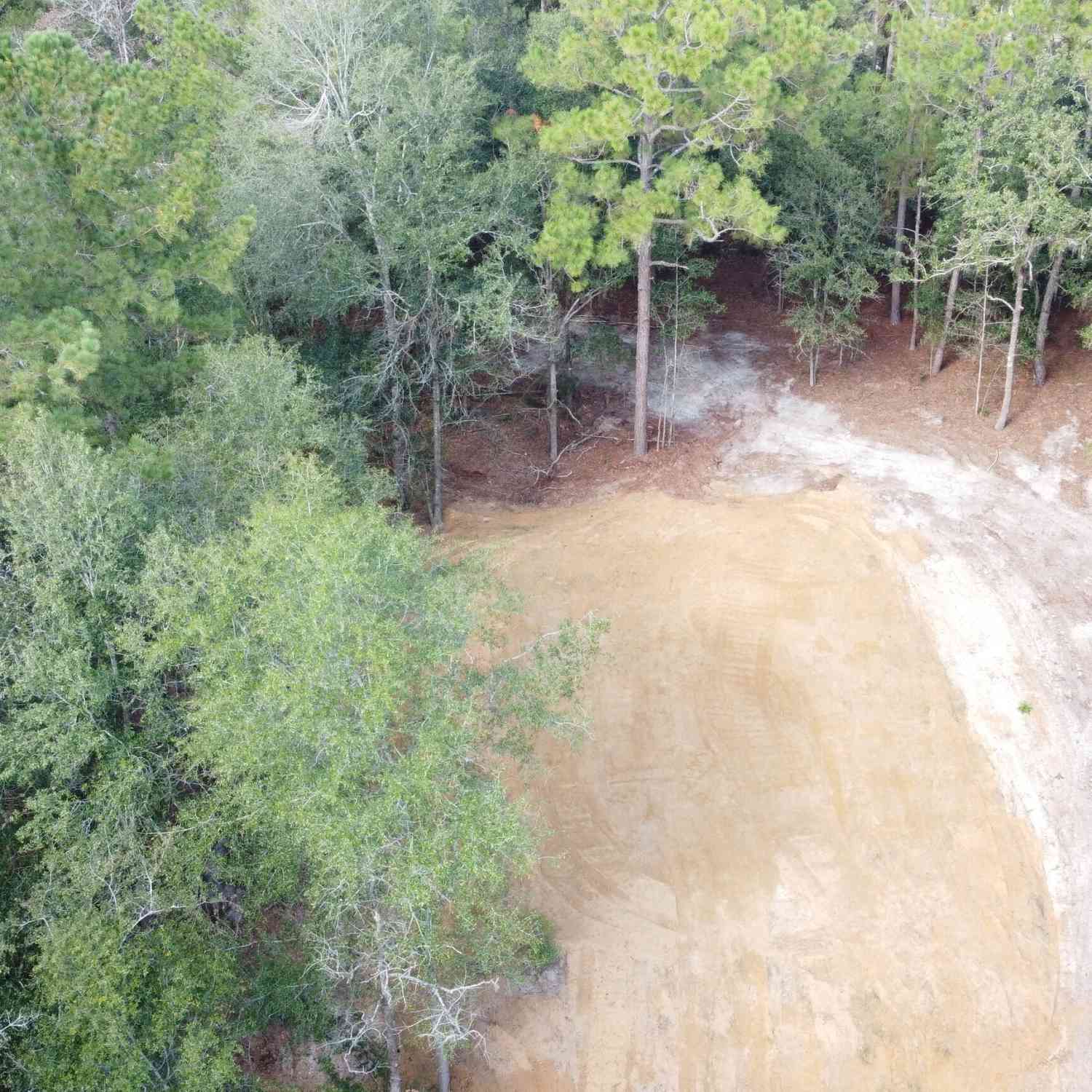 Vacant Land For Sale - Canoochee Drive<br/> Claxton, GA 30417