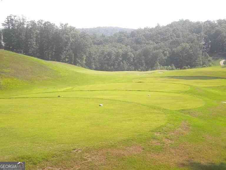 Vacant Land For Sale - LOT 8 Ridgetop Court<br/> Dawsonville, GA 30534