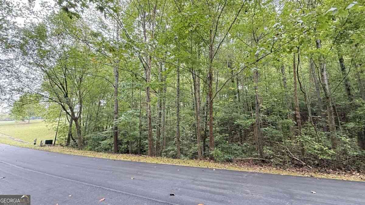 Vacant Land For Sale - 8935 Saddle Trail<br/> Ball Ground, GA 30107