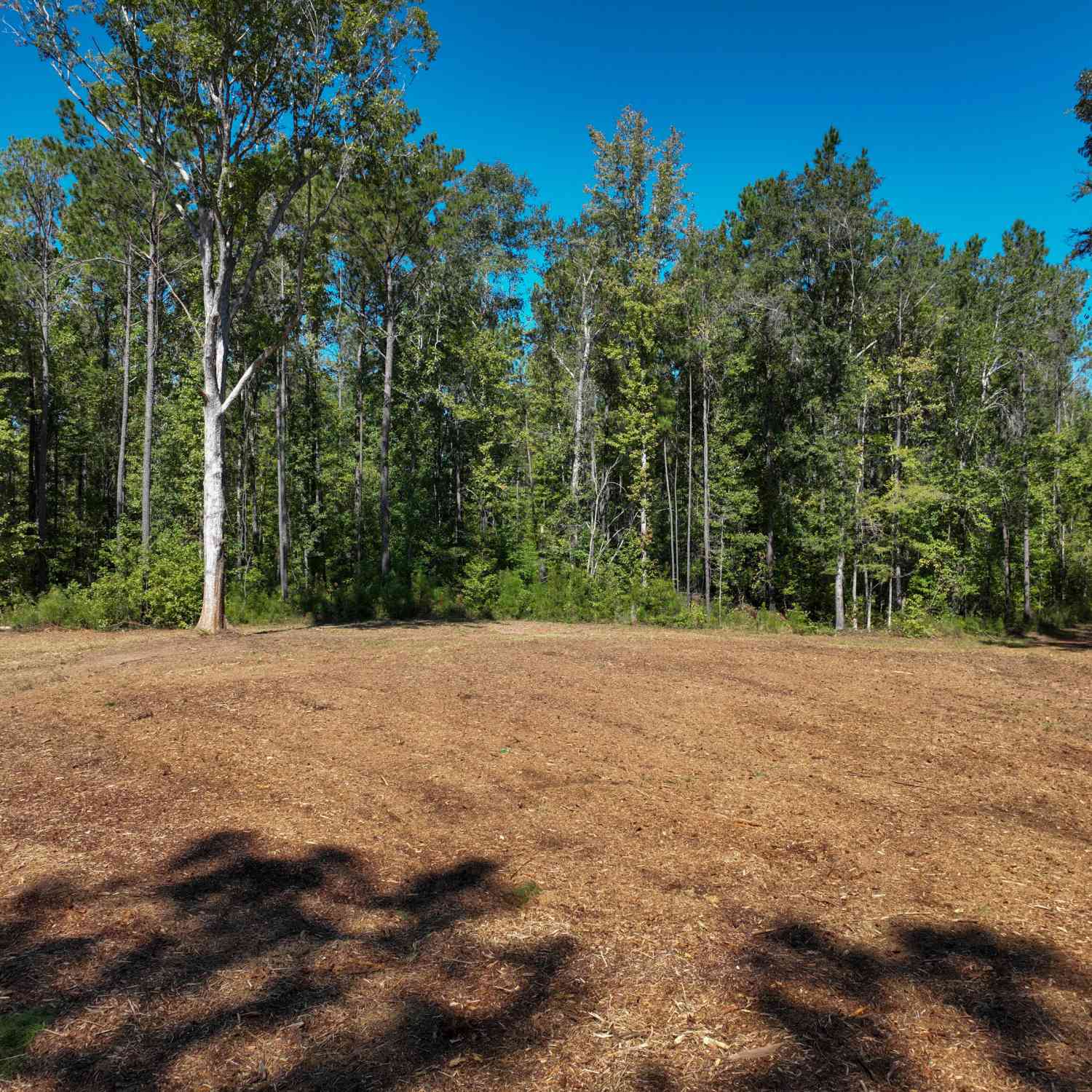 Vacant Land For Sale - Buck Run Road<br/> Talbotton, GA 31827