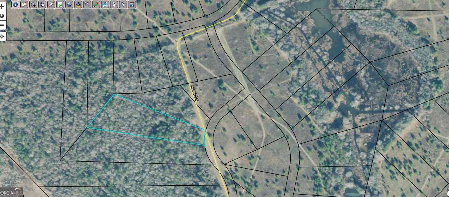 Vacant Land For Sale - High Crest Lane<br/> Hawkinsville, GA 31036