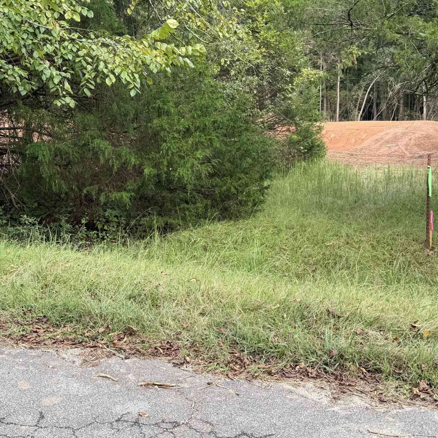 Vacant Land For Sale - 100 Winding Lane<br/> Locust Grove, GA 30248