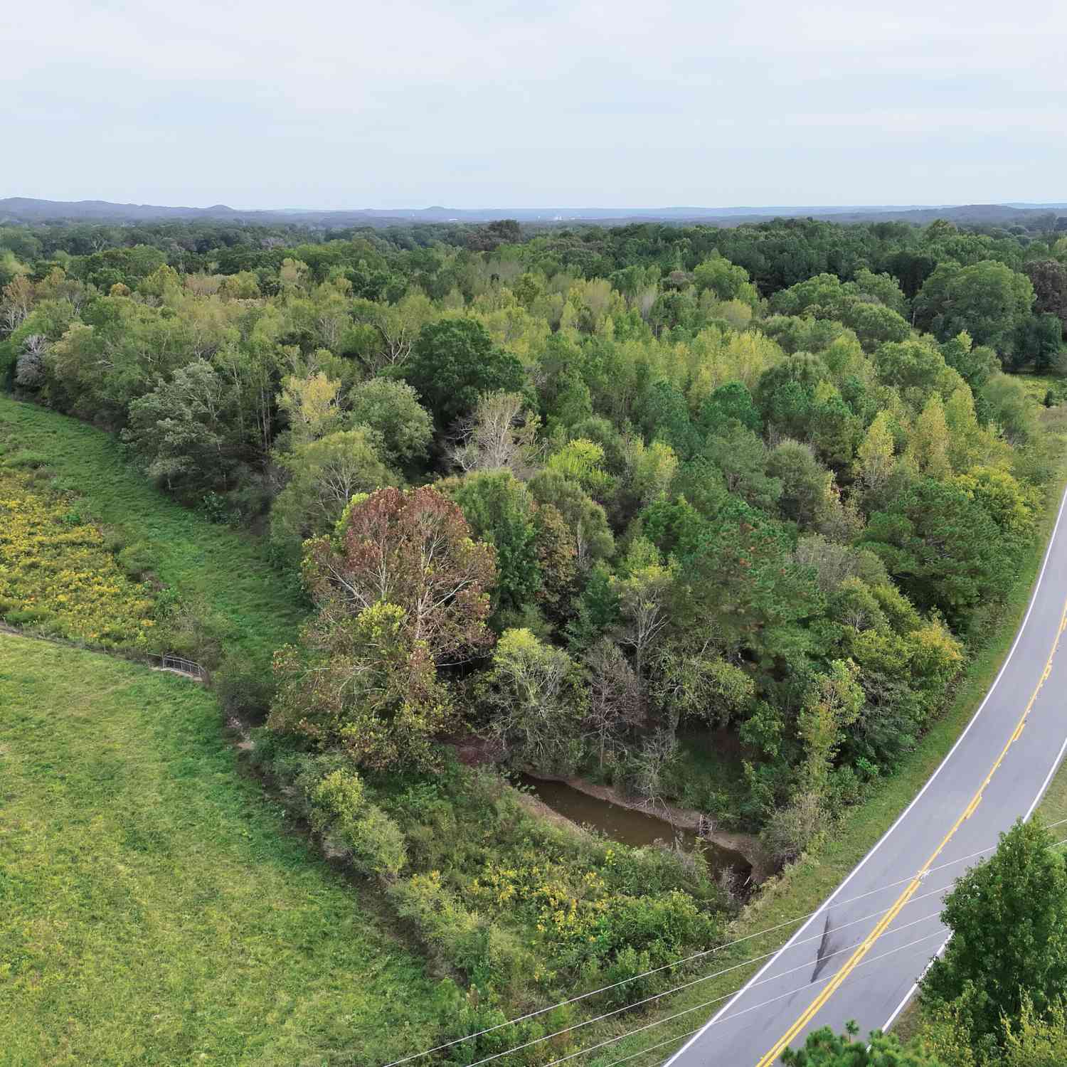 Vacant Land For Sale - Flint Hill Road<br/> Aragon, GA 30104