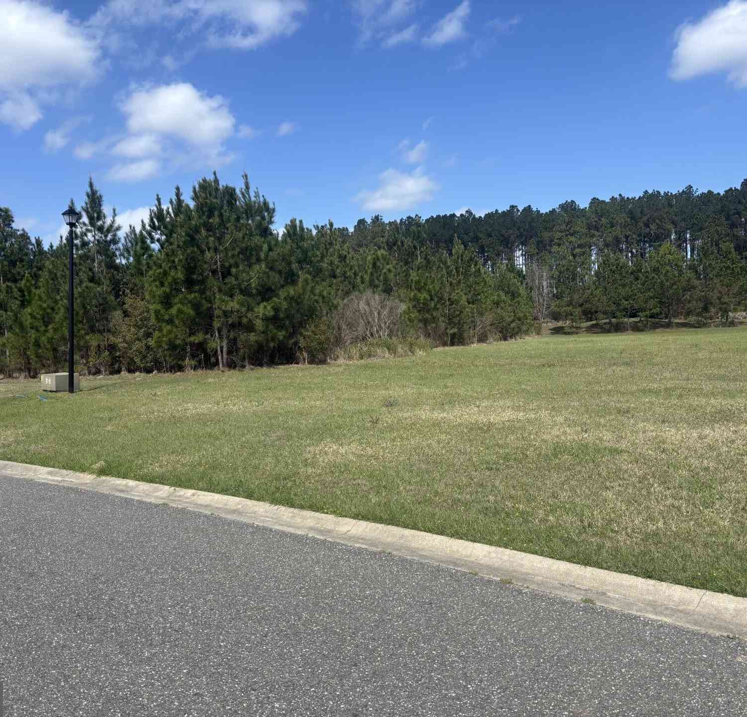 Vacant Land For Sale - 111 Longshore Drive<br/> Kingsland, GA 31548
