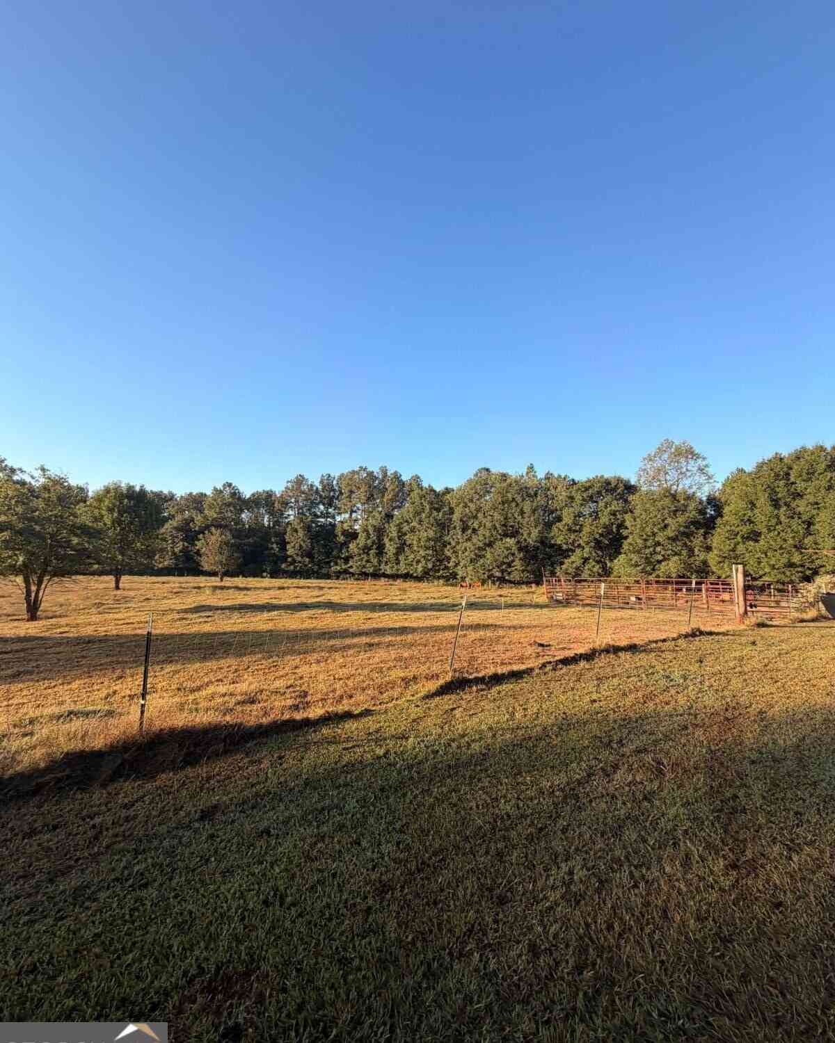 Vacant Land For Sale - Ga-145<br/> Martin, GA 30557